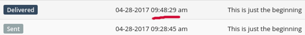 Send In Blue log showing twenty minute delay