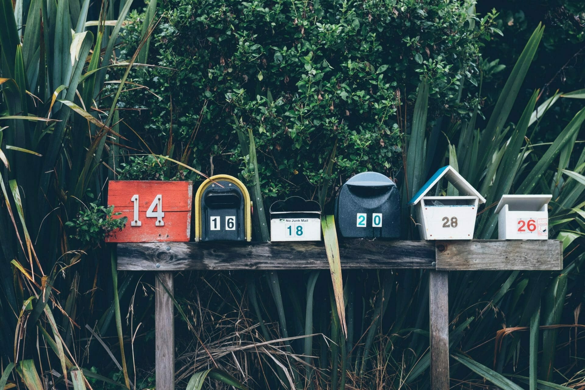 Transactional Email: More Exciting Than Dirt